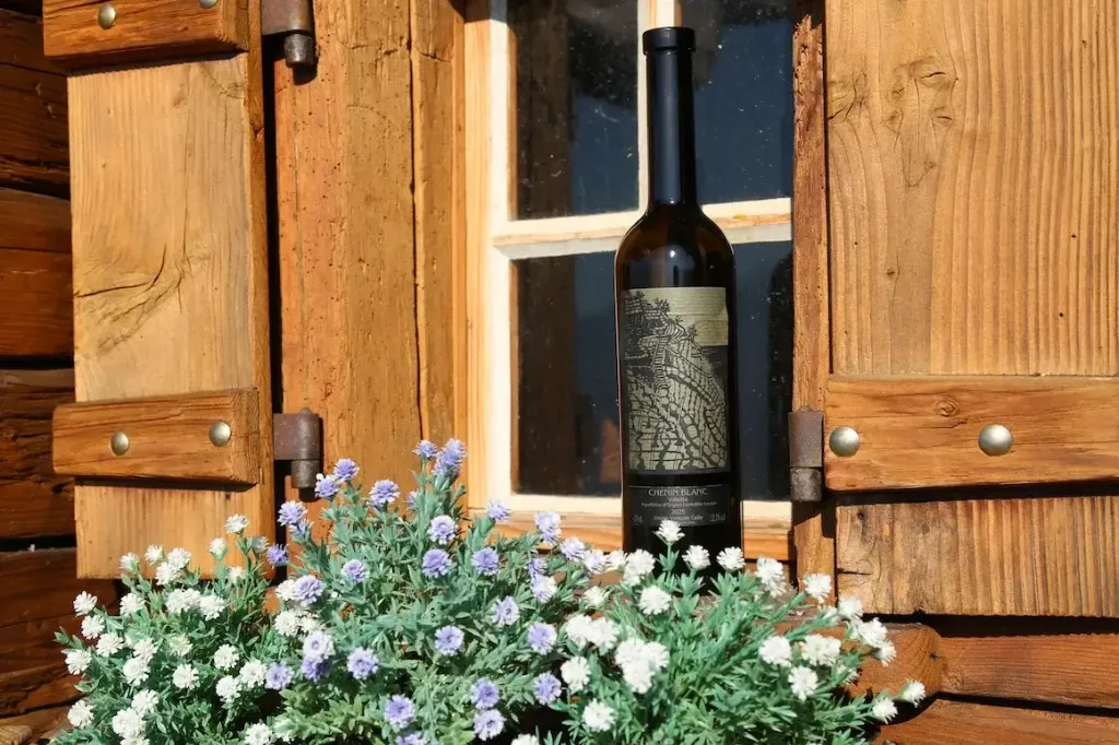 La Capite dans le vignoble en terrasses de Lavaux