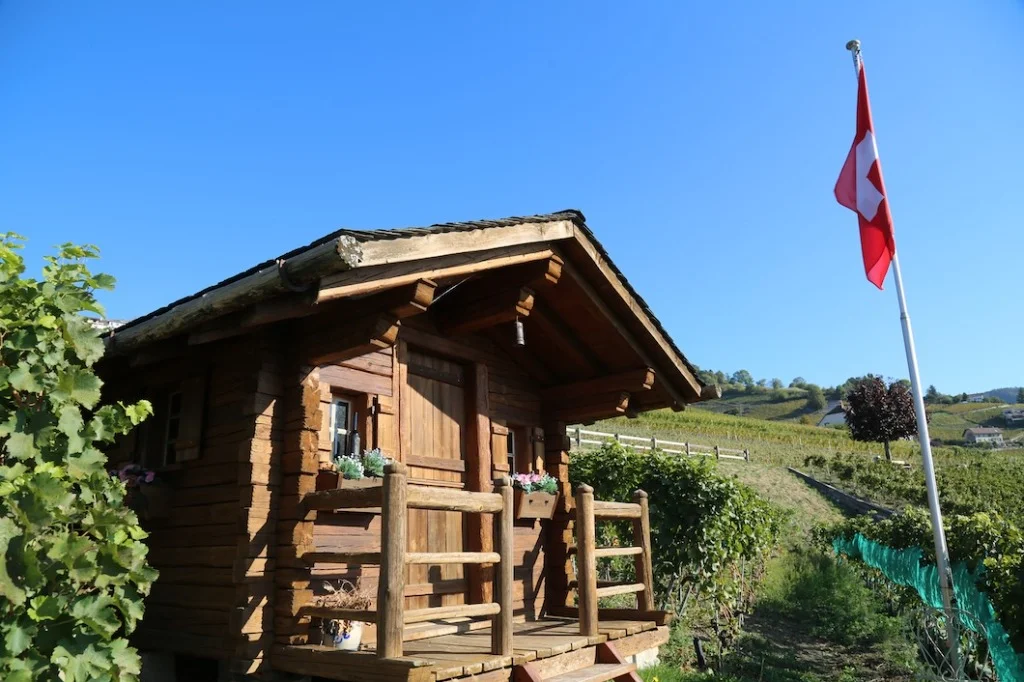 Fenêtre fleurie d'un chalet vaudois surplombant les coteaux de Lavaux