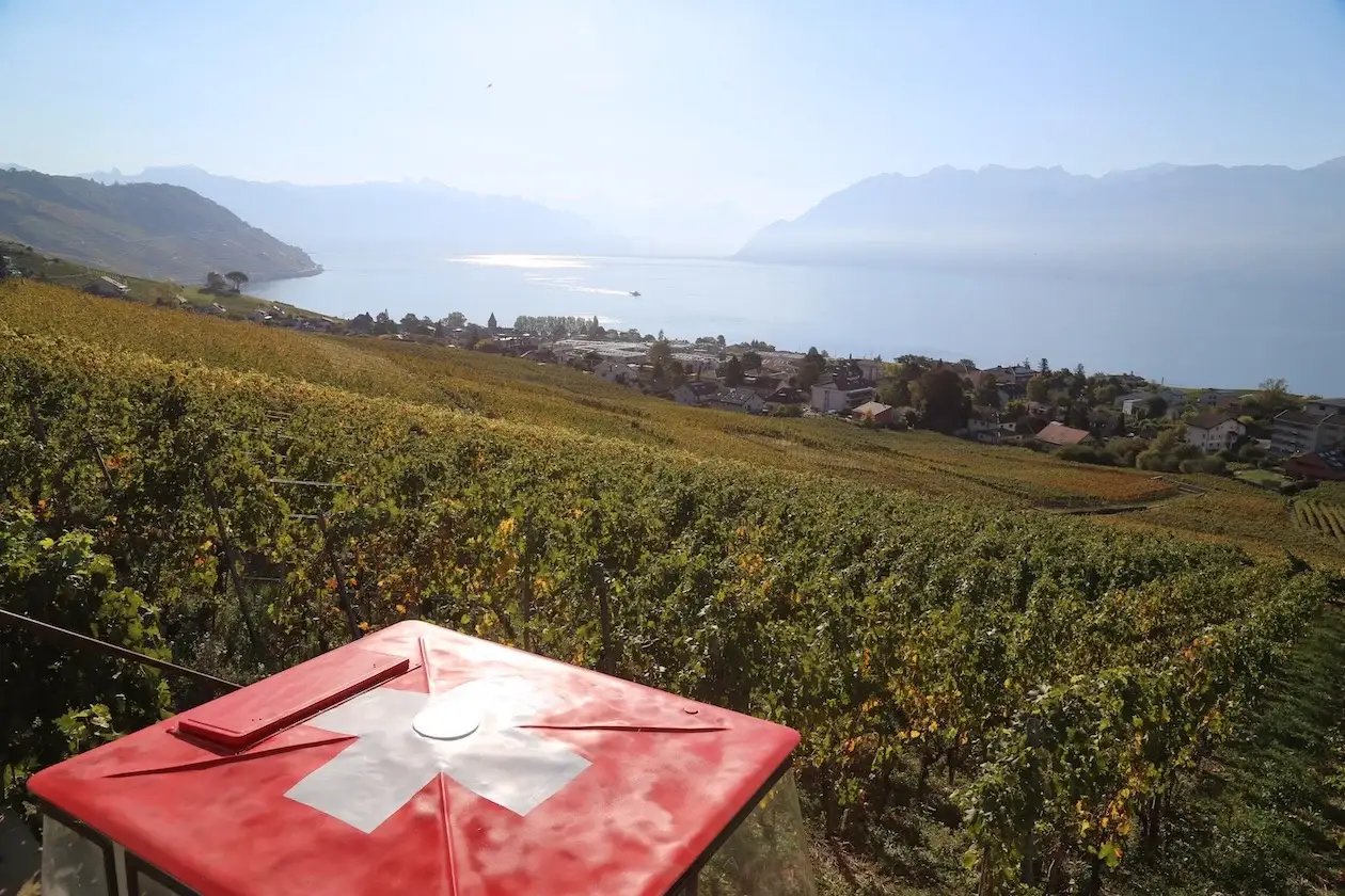 Panorama sur le lac Léman et les vignes de Lavaux