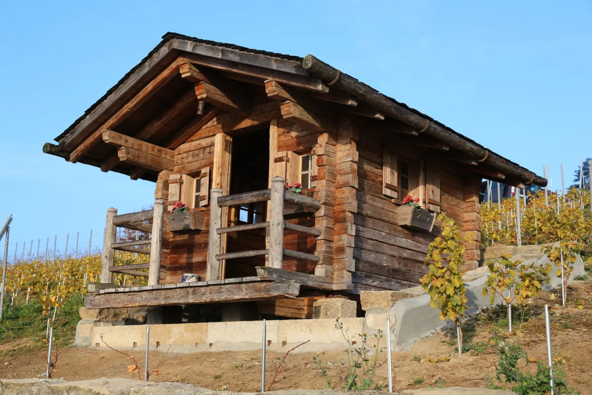 Chalet en bois et terrasse surplombant le vignoble au couchant
