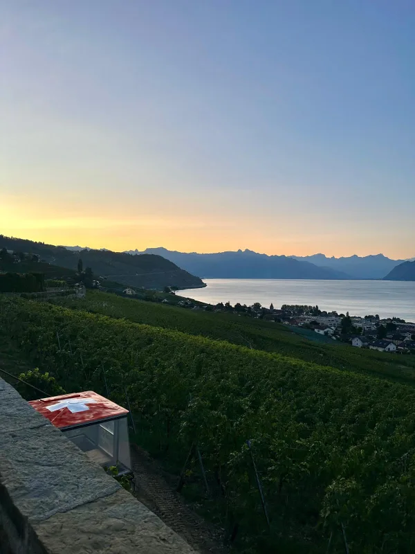 Soleil couchant embrasant les terrasses et le lac Léman