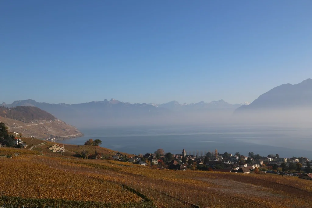 Panorama sur le lac Léman et les terrasses de Lavaux