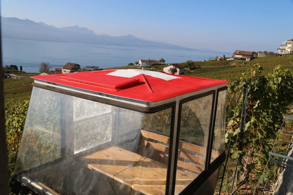 Intérieur chaleureux de La Cabine avec table en bois et vue sur les vignes